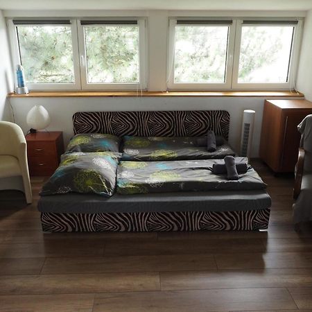 Apartman U Borovice Bílá Třemešná 外观 照片